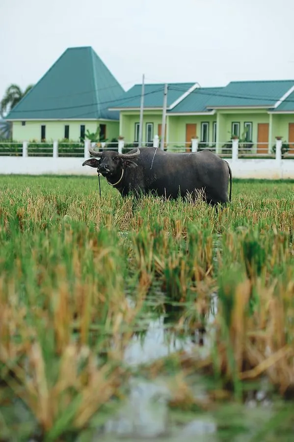 Casa Cenang Resort Tok Bidin Langkawi Πανδοχείο